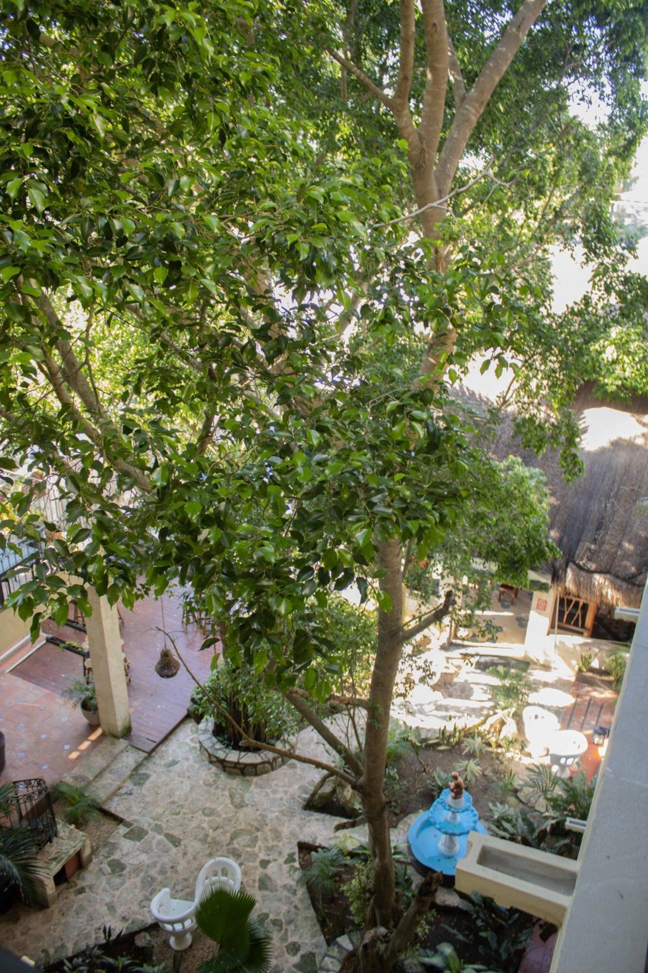 Hotel Nojoch Che Coba Bagian luar foto